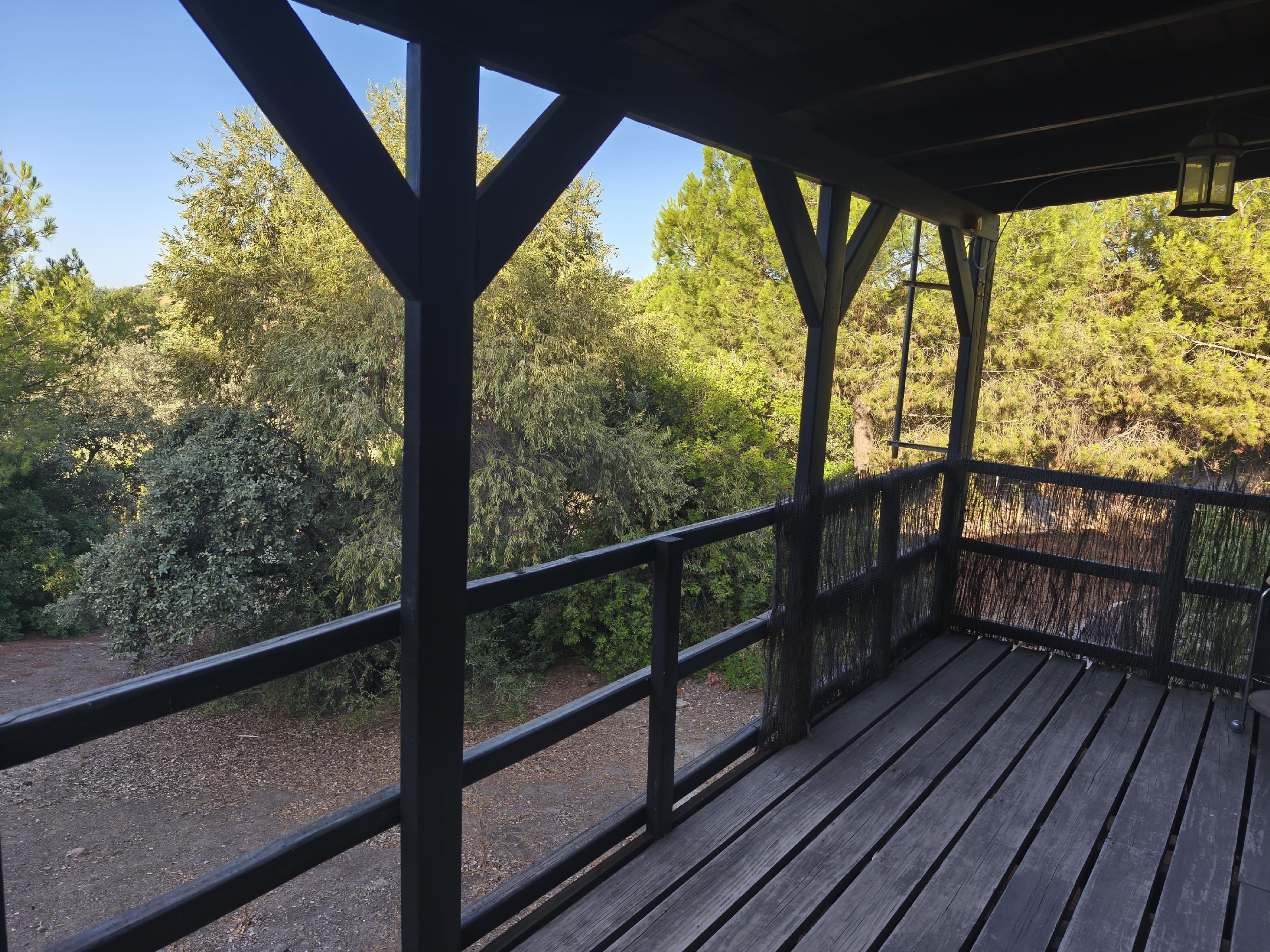 Imagen 38 Casa Rústica en venta en Andújar / A 1 km pasando el Toledillo 