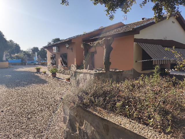 Imagen 4 Inmueble 296717 - Casa Rústica en venta en Andújar / A 1 km pasando el Toledillo 