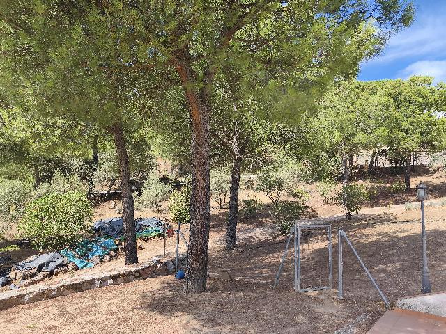 Imagen 13 Inmueble 299559 - Casa Rústica en venta en Andújar / Urbanización Navalgrillo junto a Restaurante Los Pinos