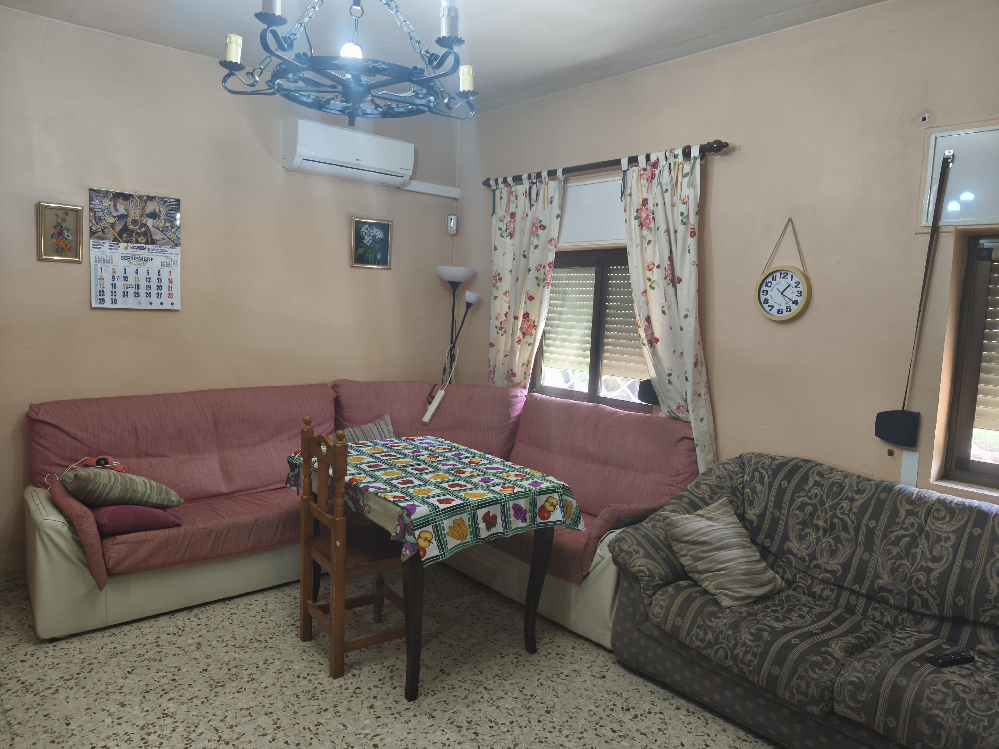 Imagen 7 Casa Rústica en venta en Andújar / Urbanización Navalgrillo junto a Restaurante Los Pinos