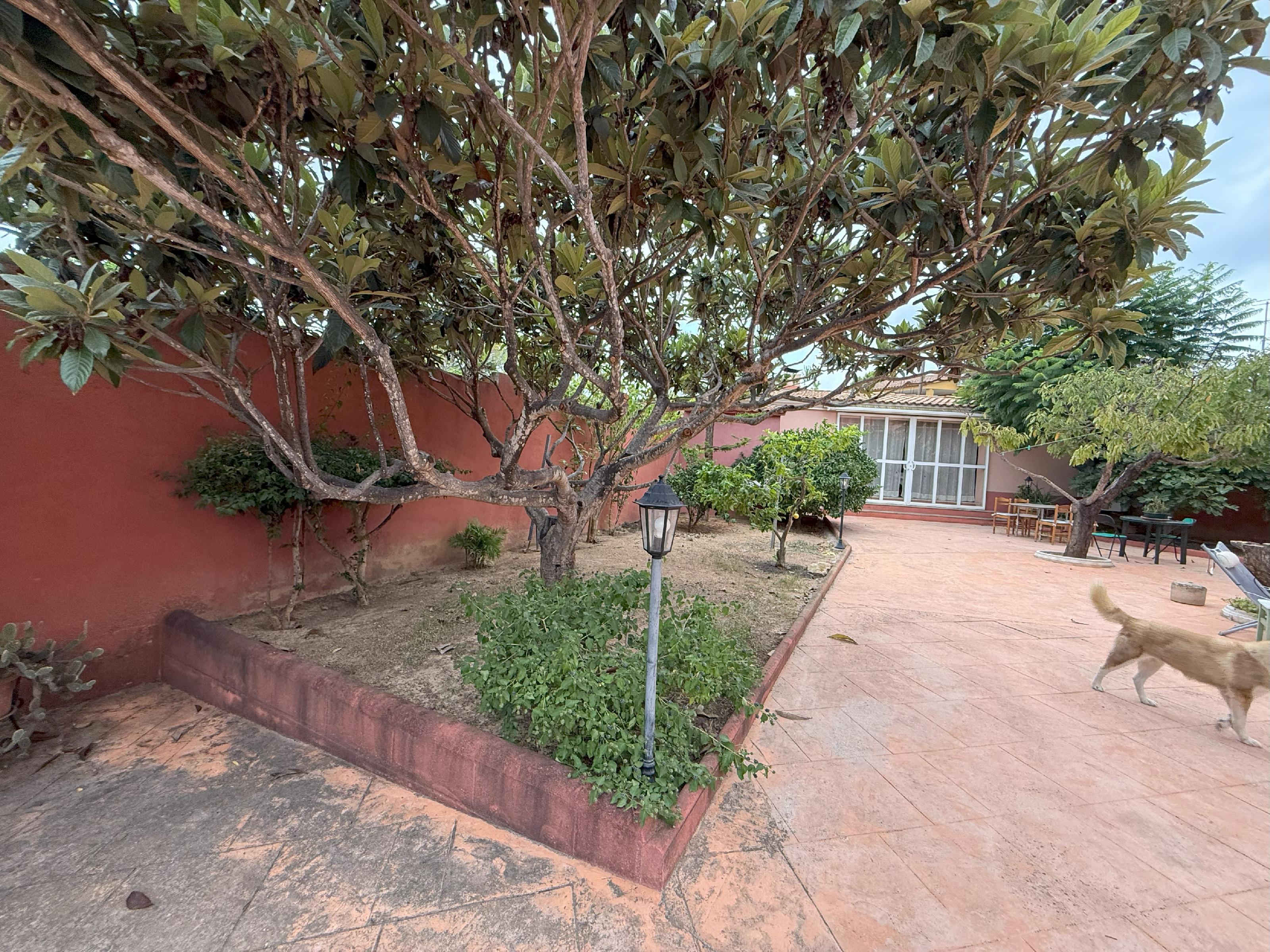 Imagen 6 Casa Aislada en venta en Sant Jaume Dels Domenys / En la urbanización el papagai