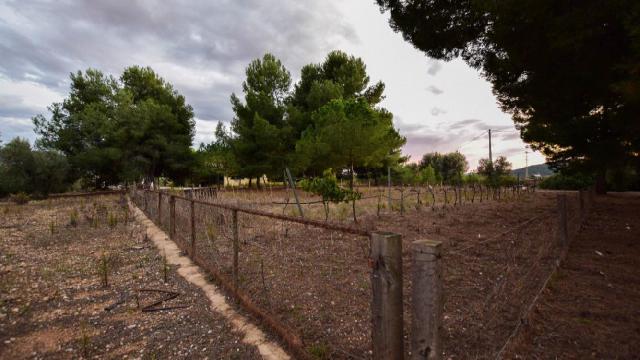 Imagen 38 Inmueble 294053 - Casa Aislada en venta en Banyeres Del Penedès / A 15 minutos de la playa