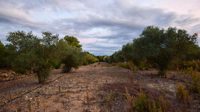 Imagen 39 Inmueble 294053 - Casa Aislada en venta en Banyeres Del Penedès / A 15 minutos de la playa