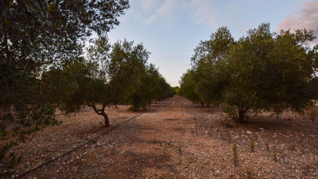 Imagen 36 Casa Aislada en venta en Banyeres Del Penedès / A 15 minutos de la playa