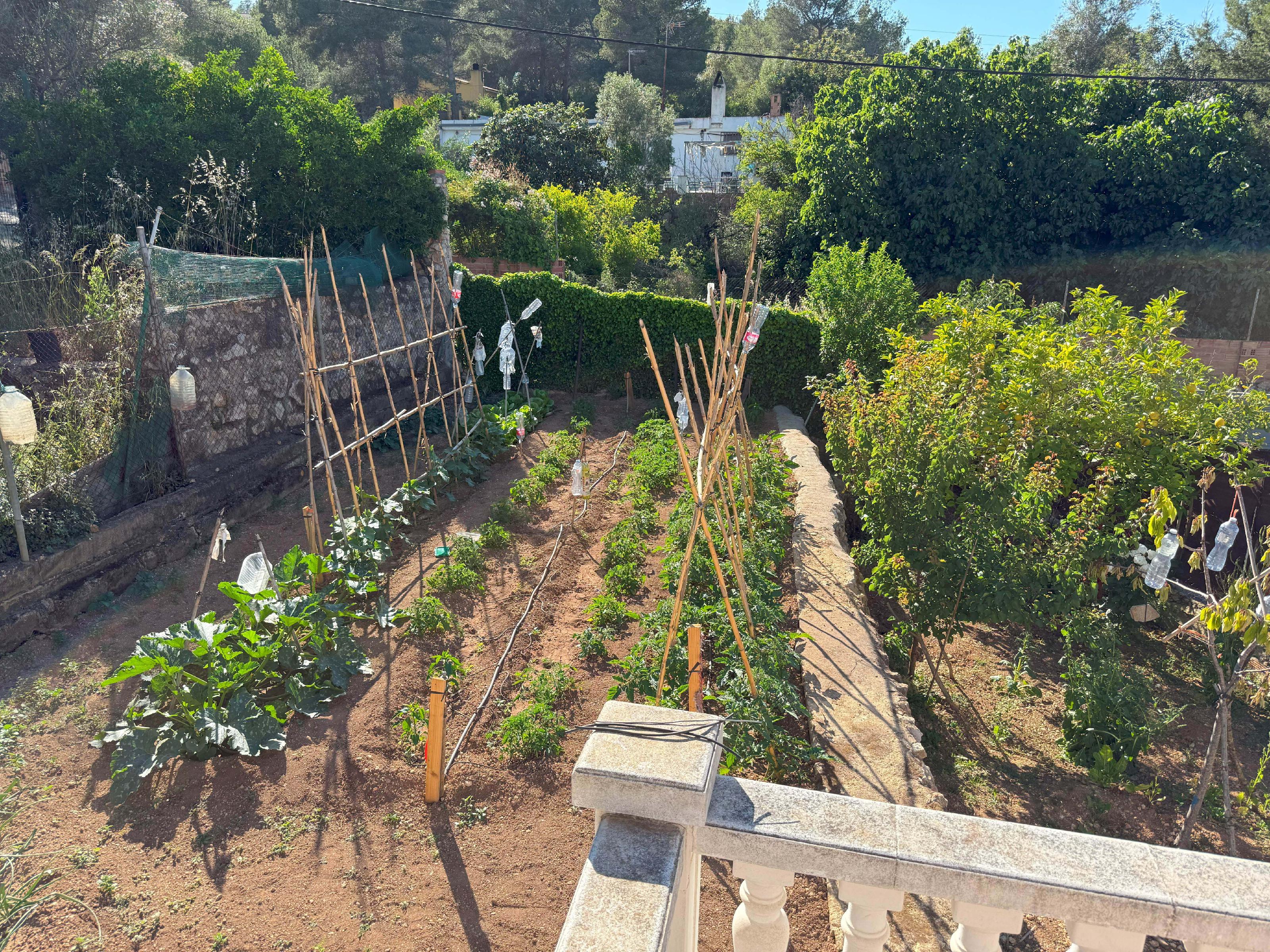 Imagen 36 Casa Aislada en venta en Bisbal Del Penedès La / A cinco minutos del pueblo de la Bisbal