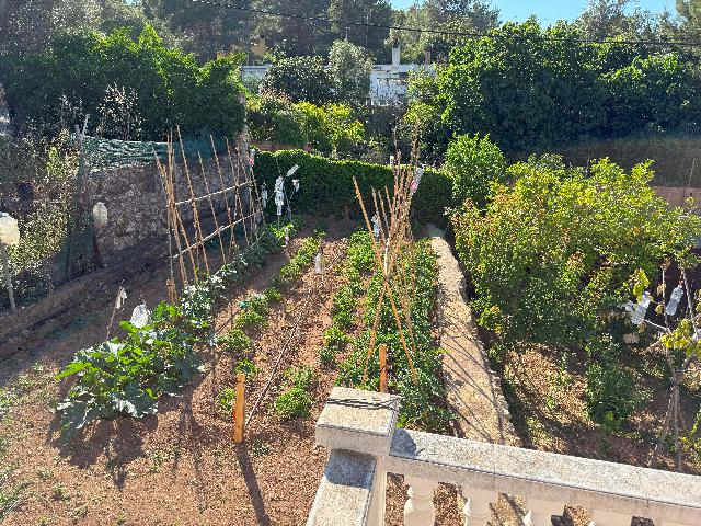 Imagen 36 Inmueble 294124 - Casa Aislada en venta en Bisbal Del Penedès (La) / A cinco minutos del pueblo de la Bisbal