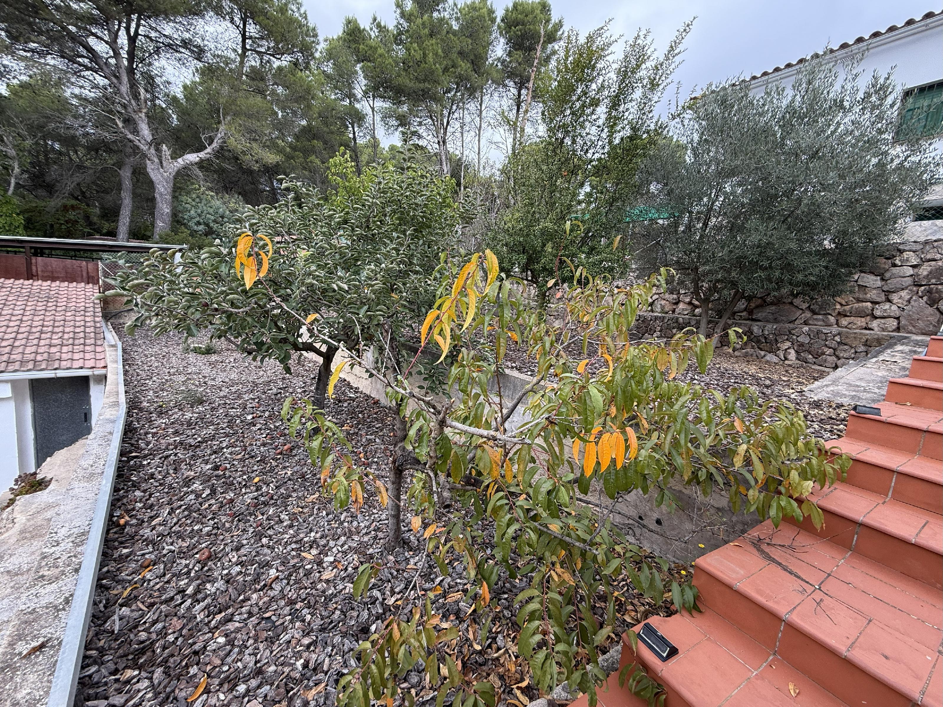 Imagen 4 Casa Aislada en venta en Montmell El / Urb. Pinedes Altes en el Montmell