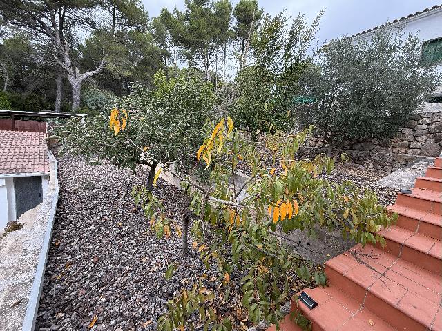 Imagen 4 Inmueble 297079 - Casa Aislada en venta en Montmell (El) / Urb. Pinedes Altes en el Montmell