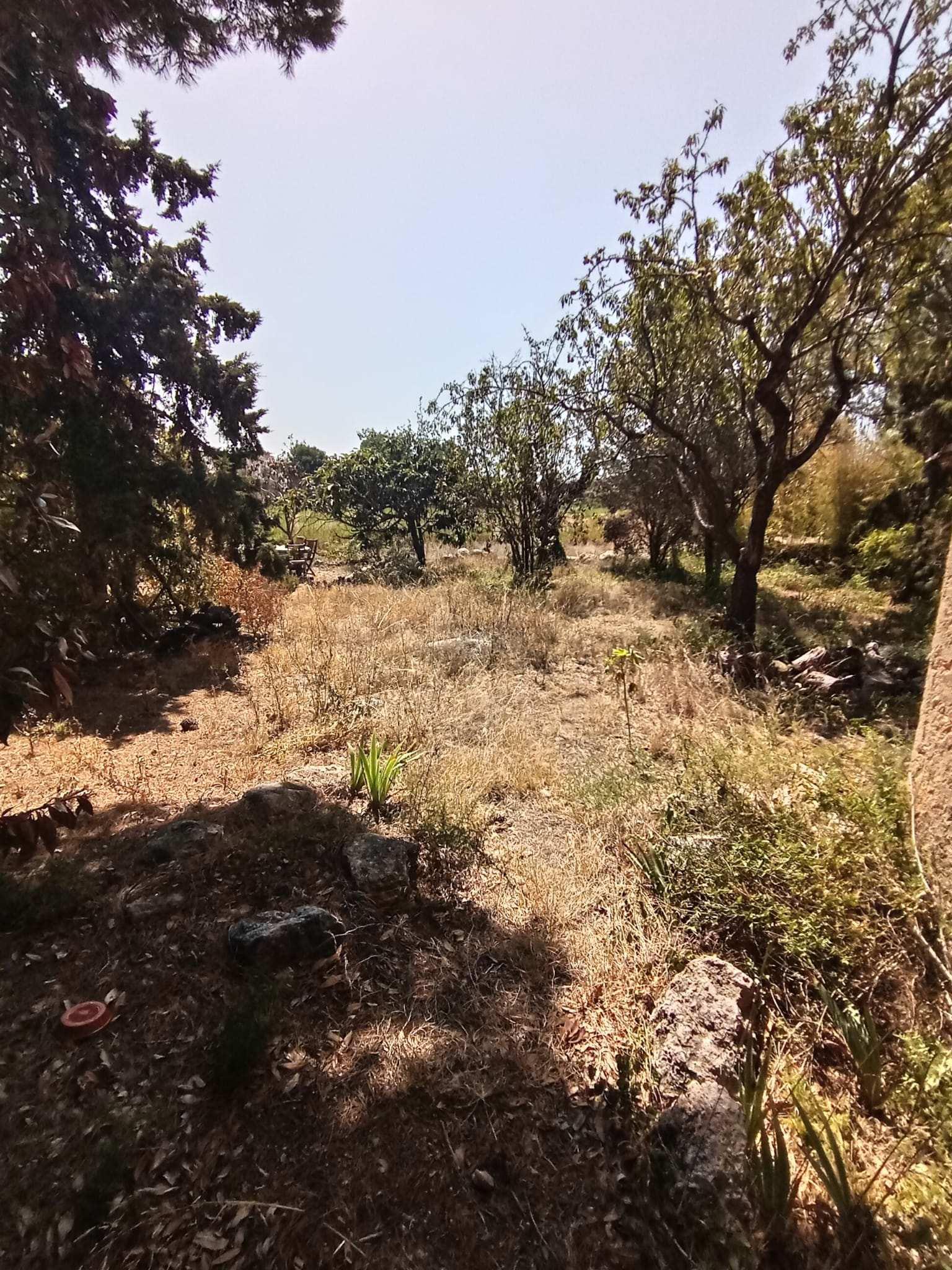 Imagen 38 Casa Rústica en venta en Sant Jaume Dels Domenys / Rodeado de naturaleza a dos minutos del...