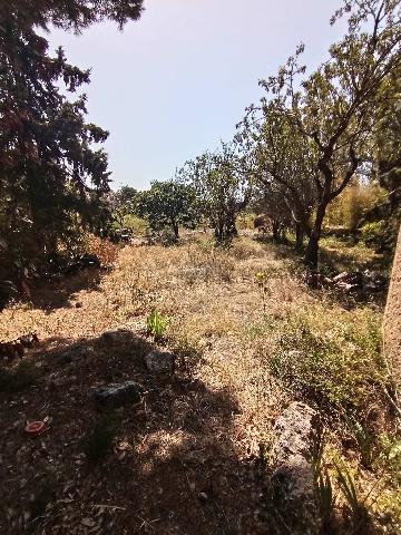 Imagen 38 Inmueble 298131 - Casa Rústica en venta en Sant Jaume Dels Domenys / Rodeado de naturaleza a dos minutos del...