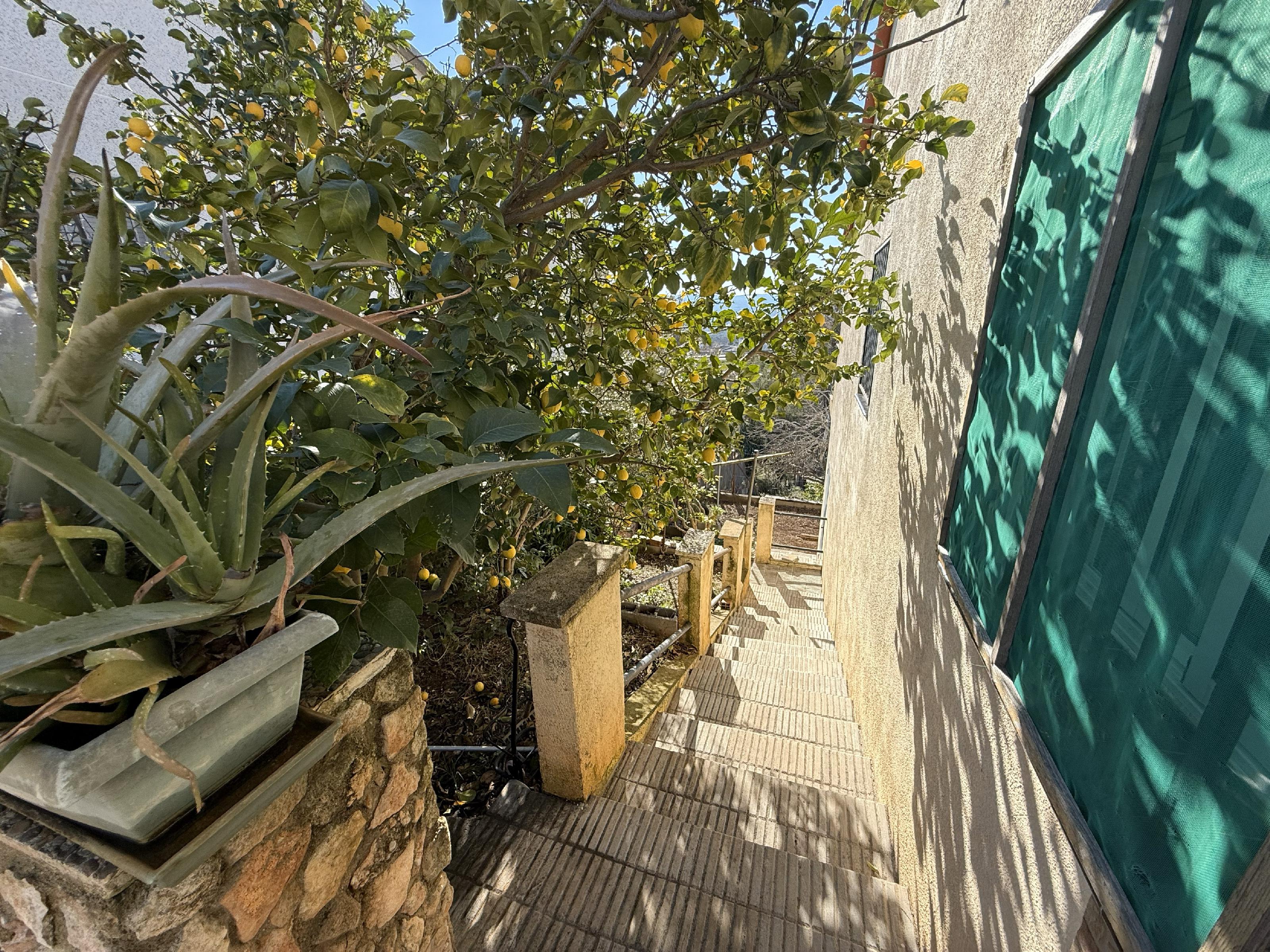 Imagen 6 Casa Aislada en venta en Bisbal Del Penedès La / Urb el priorat de la bisbal del Penedes.