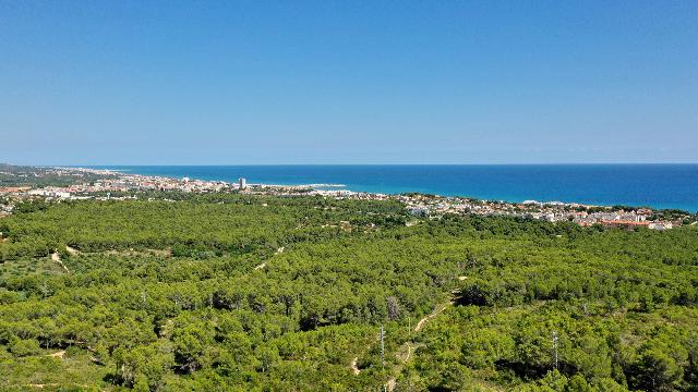 Imagen 6 Inmueble 298798 - Casa Aislada en venta en Vendrell (El) / En la urb els masos dentro de un paraje inigualable.