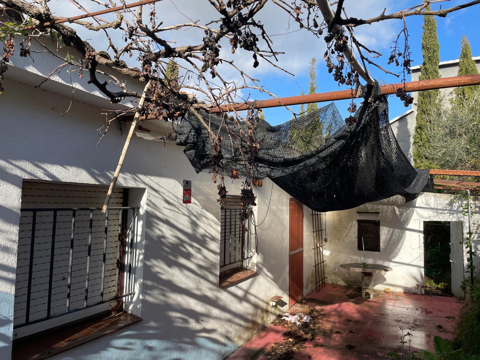 Imagen 5 Casa Aislada en venta en Bisbal Del Penedès La / En la urb el Esplai