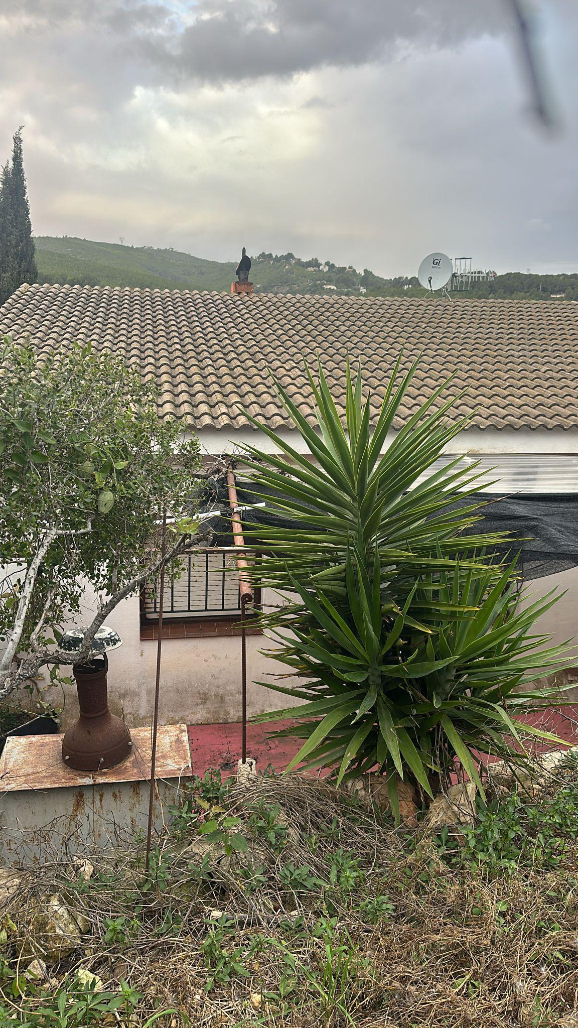 Imagen 6 Casa Aislada en venta en Bisbal Del Penedès La / En la urb el Esplai