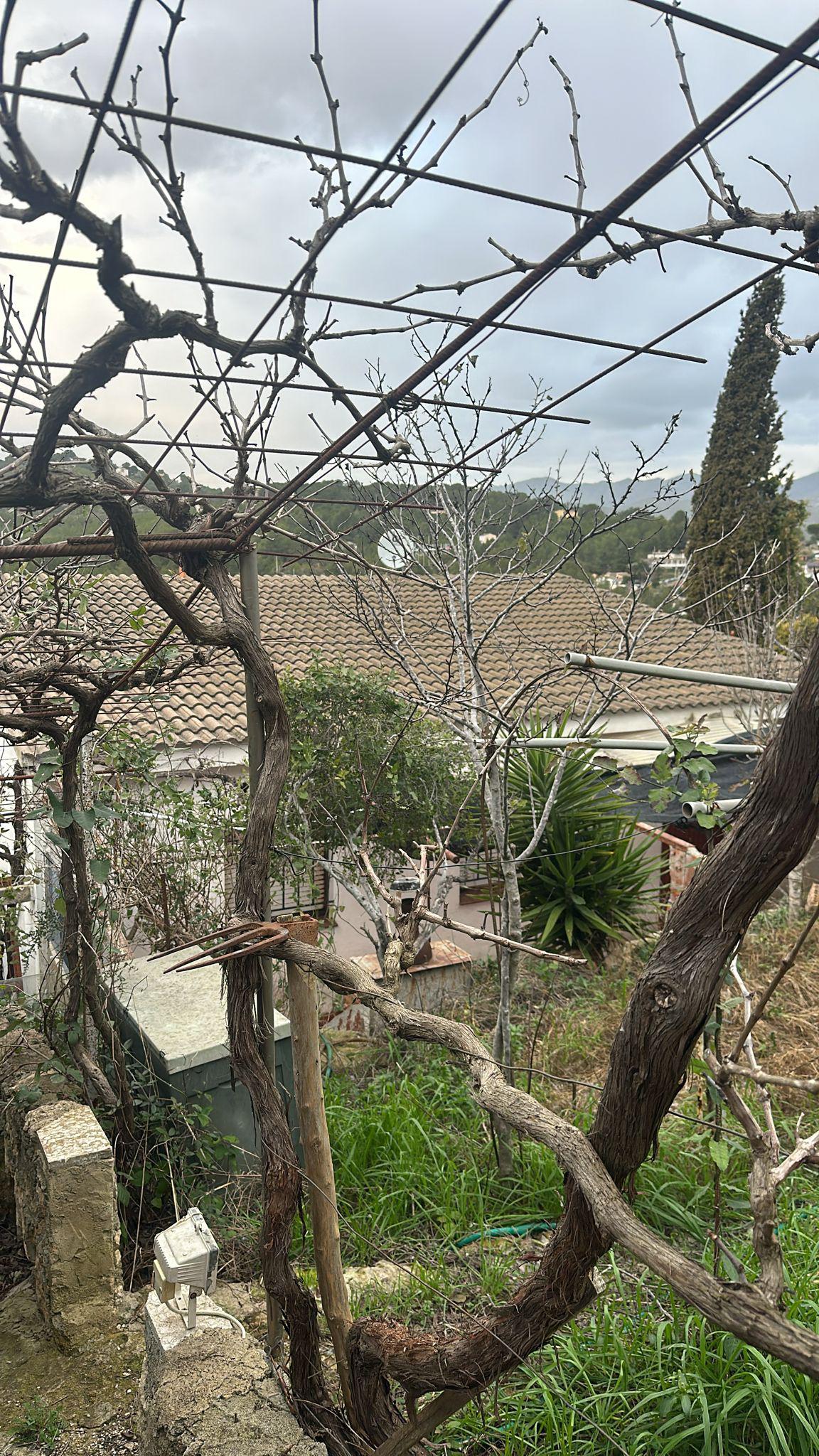 Imagen 7 Casa Aislada en venta en Bisbal Del Penedès La / En la urb el Esplai