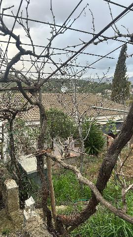 Imagen 7 Inmueble 300071 - Casa Aislada en venta en Bisbal Del Penedès (La) / En la urb el Esplai