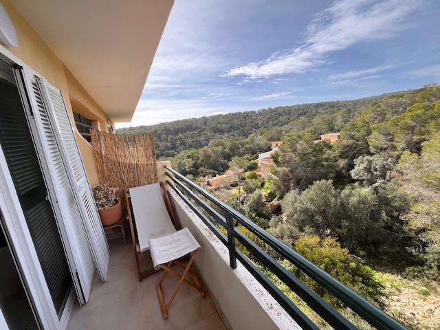Imagen 9 Apartamento en venta en Calvià / Portals Vells-Calvia junto al parque Natural y playas.