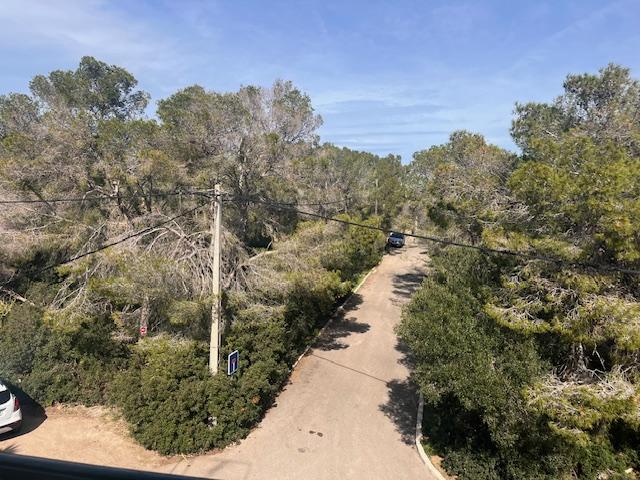 Imagen 24 Apartamento en venta en Calvià / Portals Vells-Calvia junto al parque Natural y playas.