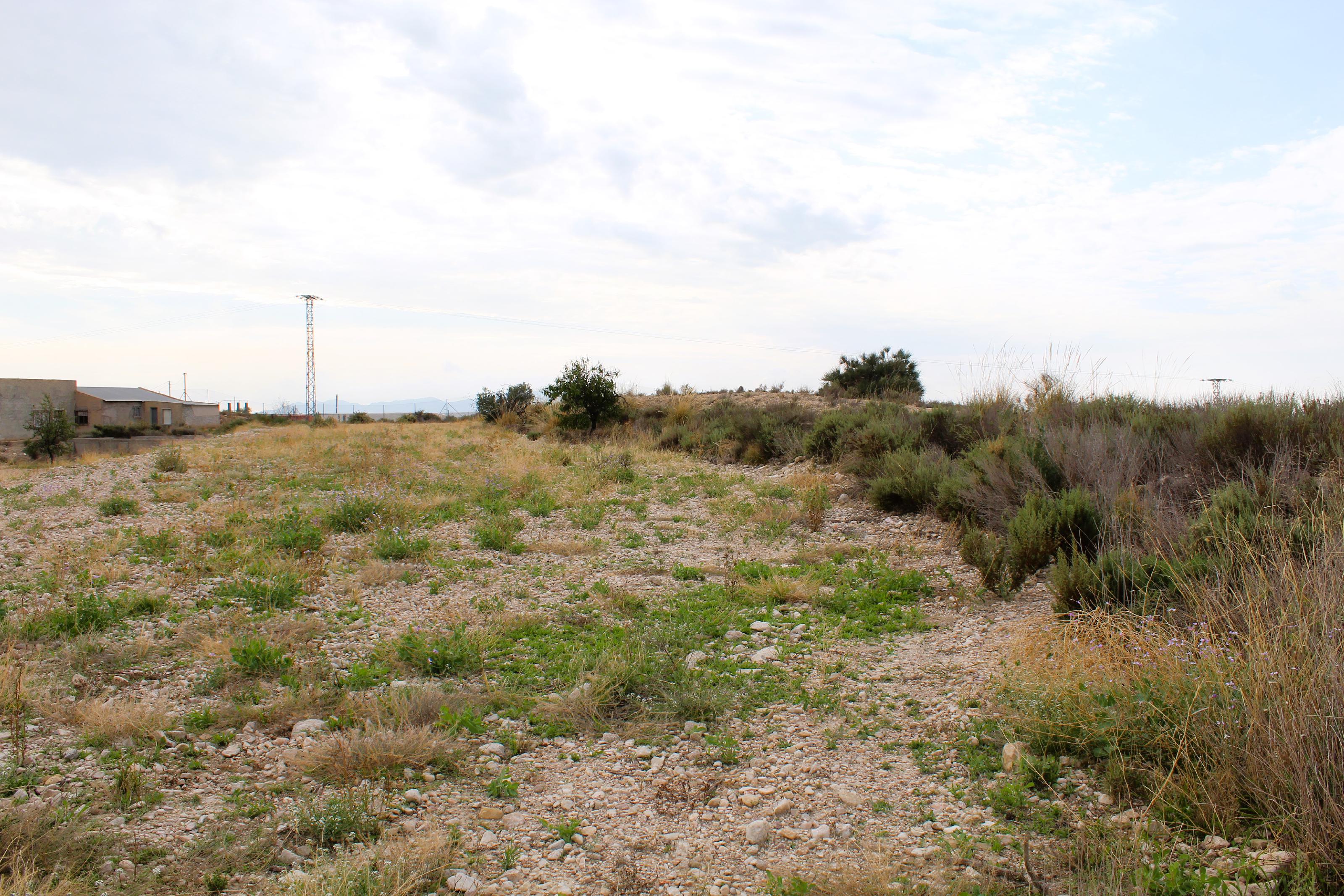 Imagen 14 Casa Aislada en venta en Abanilla / En entorno rural tranquilo de Campules