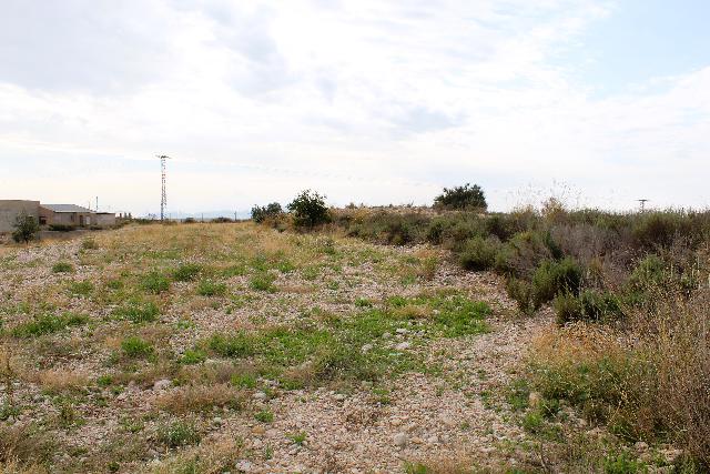 Imagen 14 Inmueble 297604 - Casa Aislada en venta en Abanilla / En entorno rural tranquilo de Campules