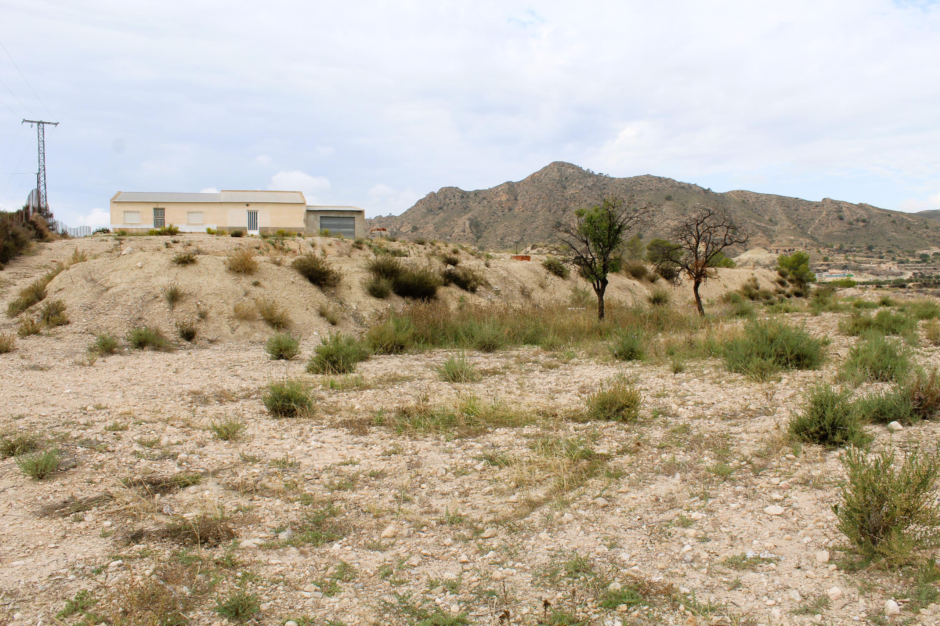 Imagen 10 Casa Aislada en venta en Abanilla / En entorno rural tranquilo de Campules