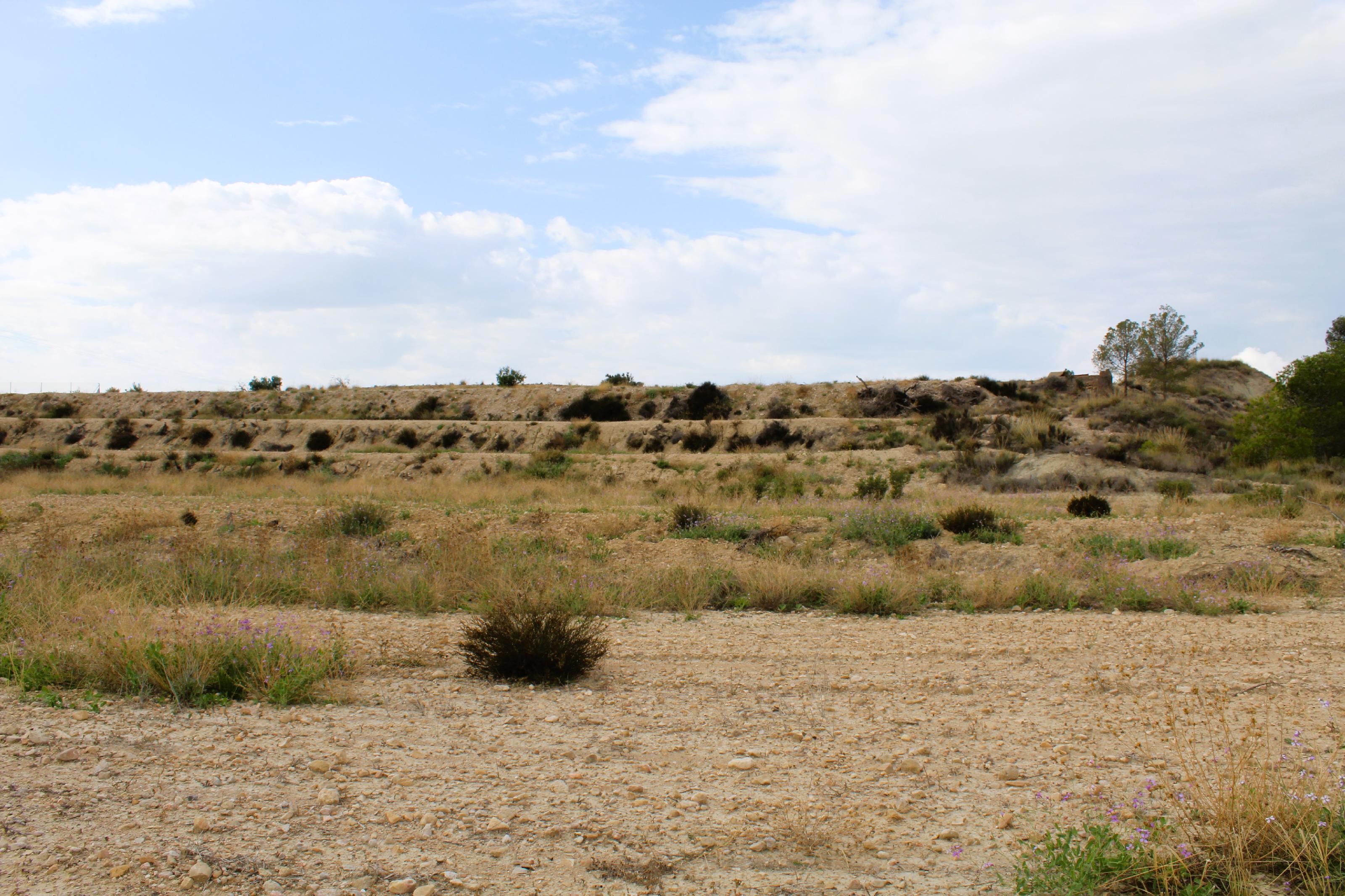 Imagen 15 Casa Aislada en venta en Abanilla / En entorno rural tranquilo de Campules
