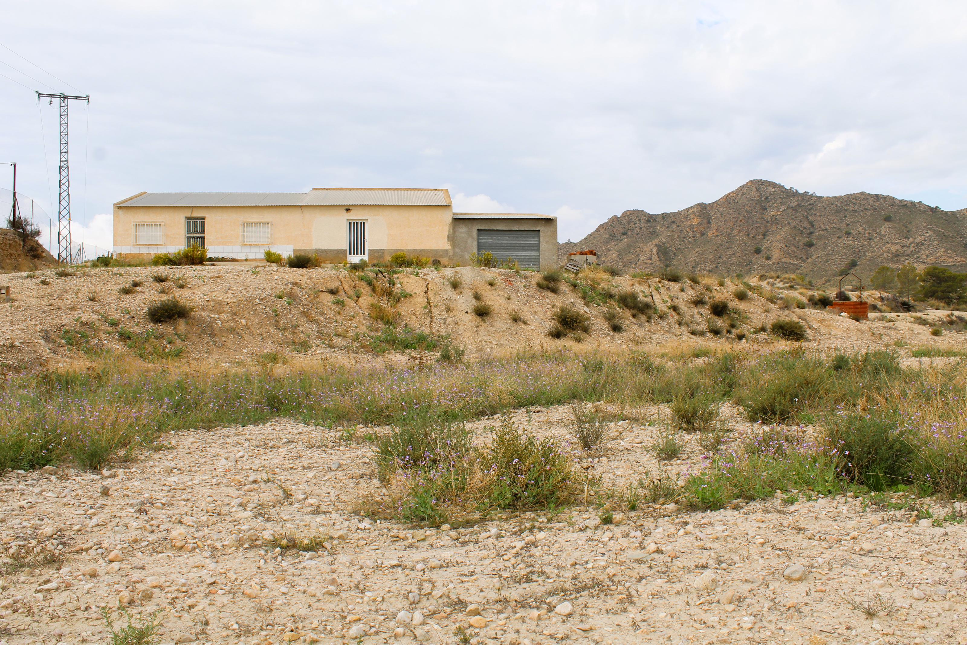 Imagen 11 Casa Aislada en venta en Abanilla / En entorno rural tranquilo de Campules