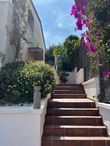 Imagen 23 Inmueble 296936 - Casa Aislada en venta en Calella / C/ Josep Gallart, 14 Calella 08370