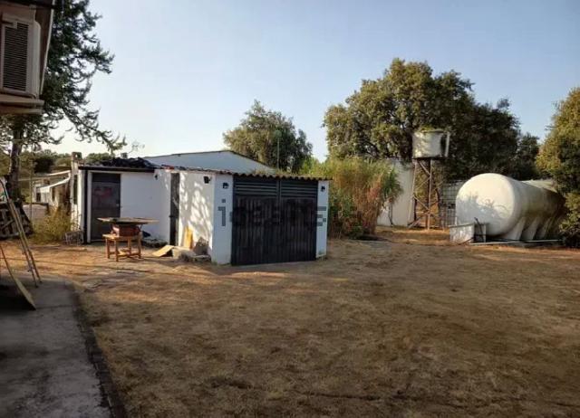 Imagen 18 Inmueble 297363 - Casa Rústica en venta en Cáceres / Finca rustica en la zona sur de Cáceres 