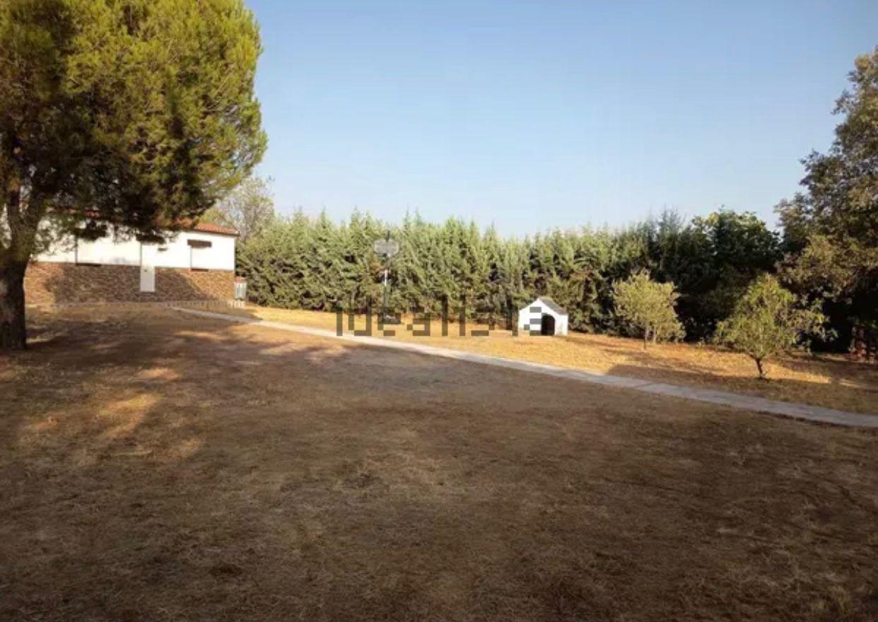 Imagen 26 Casa Rústica en venta en Cáceres / Finca rustica en la zona sur de Cáceres 