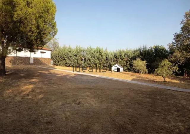 Imagen 26 Inmueble 297363 - Casa Rústica en venta en Cáceres / Finca rustica en la zona sur de Cáceres 
