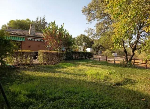 Imagen 16 Inmueble 297363 - Casa Rústica en venta en Cáceres / Finca rustica en la zona sur de Cáceres 