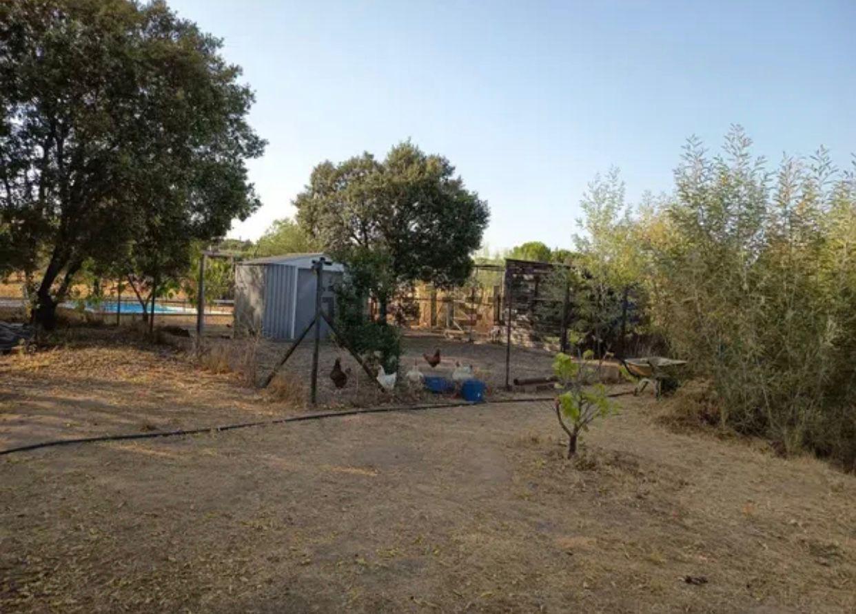 Imagen 27 Casa Rústica en venta en Cáceres / Finca rustica en la zona sur de Cáceres 