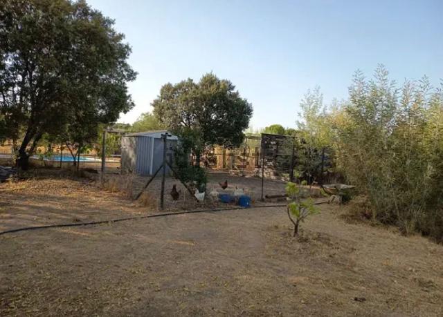 Imagen 27 Inmueble 297363 - Casa Rústica en venta en Cáceres / Finca rustica en la zona sur de Cáceres 
