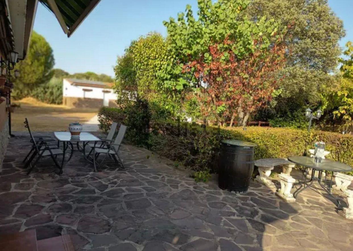 Imagen 14 Casa Rústica en venta en Cáceres / Finca rustica en la zona sur de Cáceres 