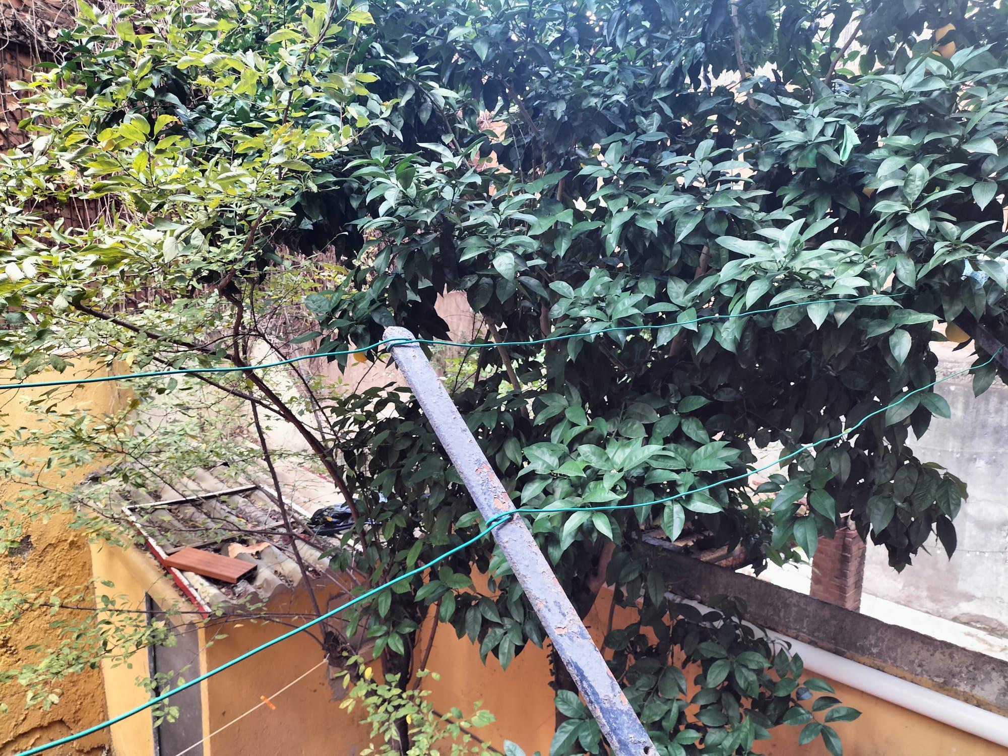 Imagen 21 Piso en venta en Barcelona / Consell de Cent 