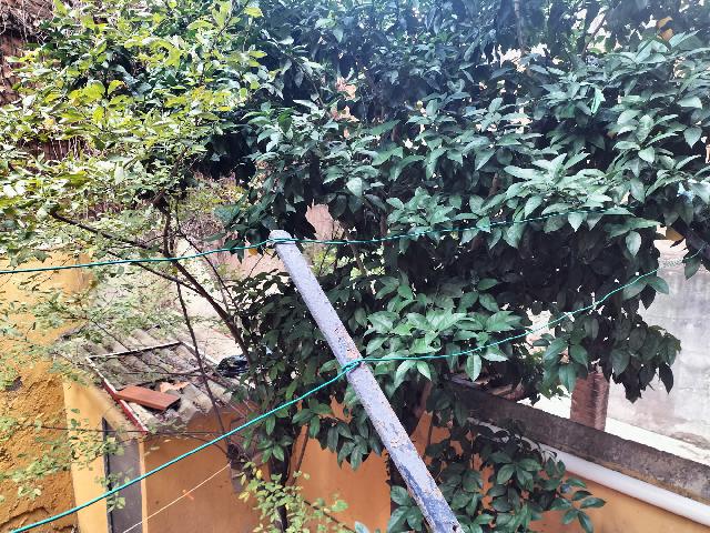 Imagen 21 Inmueble 293625 - Piso en venta en Barcelona / Consell de Cent 