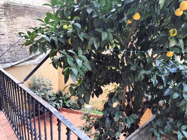 Imagen 19 Inmueble 293625 - Piso en venta en Barcelona / Consell de Cent 