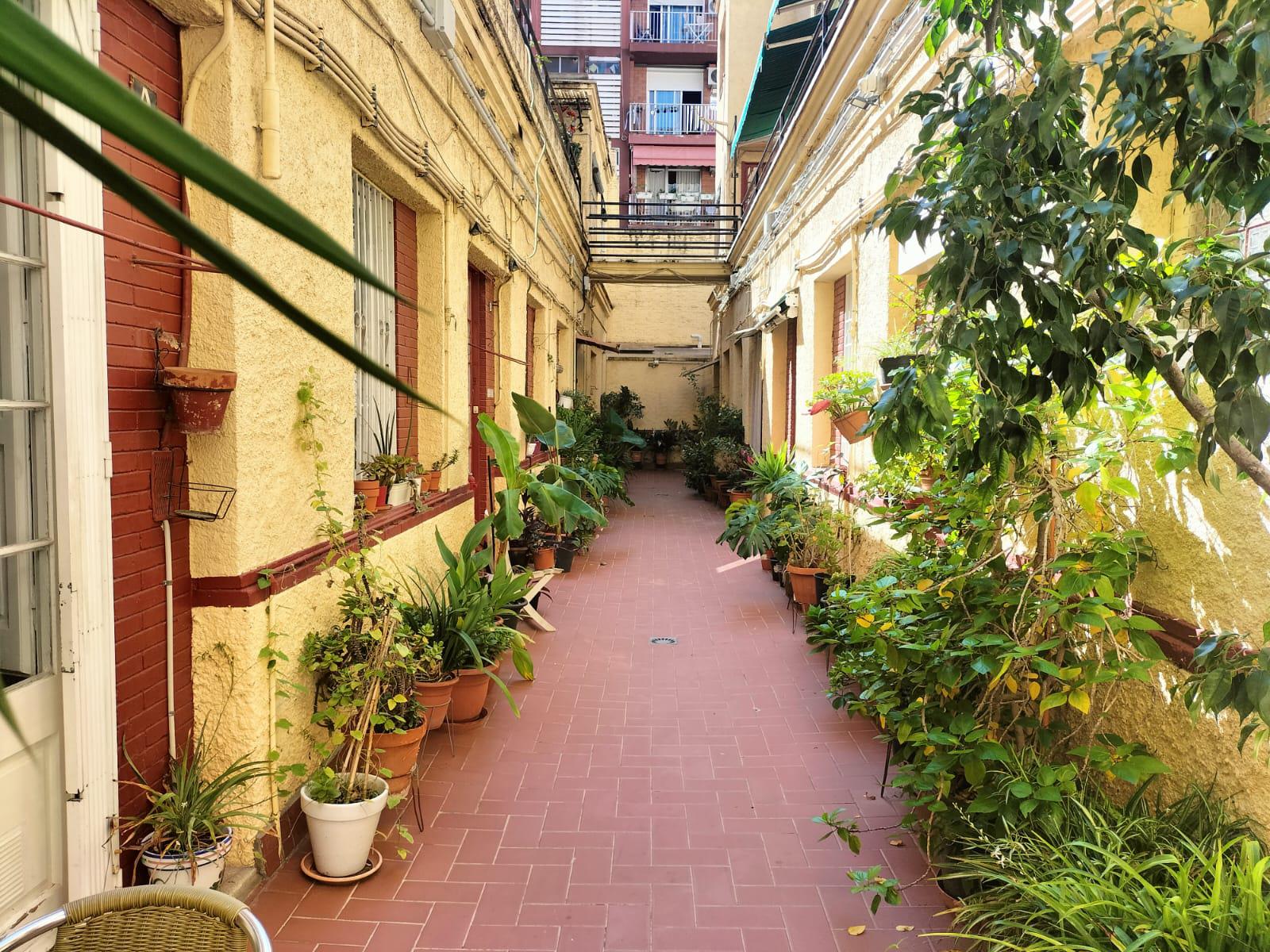 Imagen 1 Piso en venta en Barcelona / Junto Nou de la Rambla