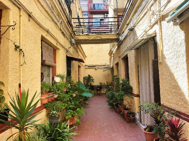 Imagen 39 Inmueble 297413 - Piso en venta en Barcelona / Junto Nou de la Rambla