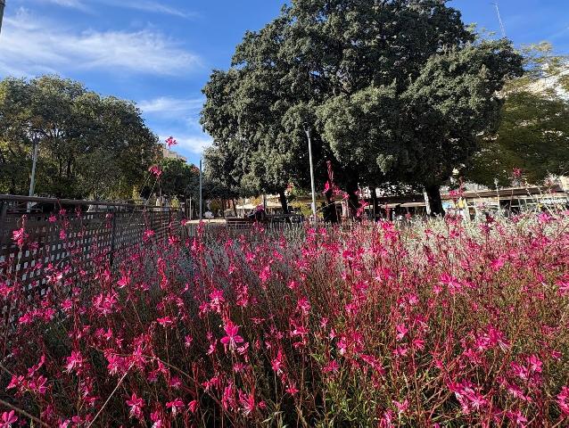 Imagen 17 Inmueble 301571 - Piso en venta en Terrassa / Junto a la Rambla d´ Ègara