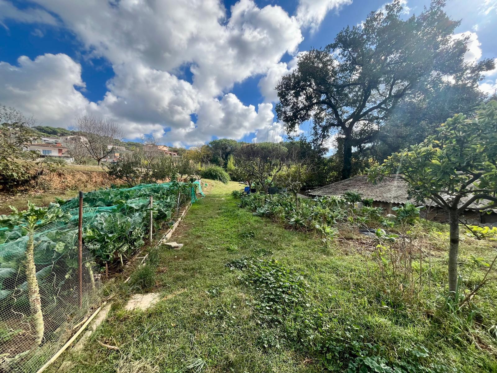 Imagen 29 Casa en venta en Vilanova Del Vallès / Casa a 5 minutos del centro de vilanova del valles