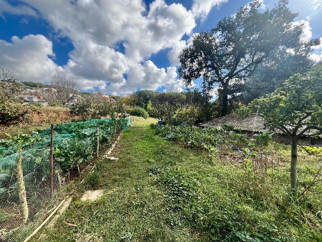 Imagen 29 Inmueble 298533 - Casa en venta en Vilanova Del Vallès / Casa a 5 minutos del centro de vilanova del valles