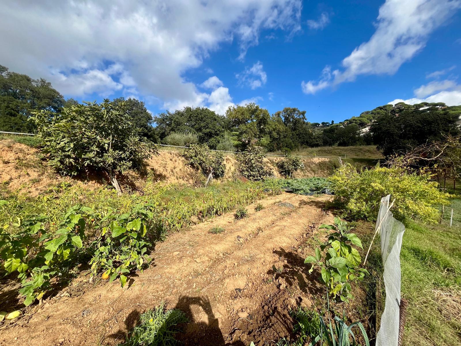 Imagen 33 Casa en venta en Vilanova Del Vallès / Casa a 5 minutos del centro de vilanova del valles