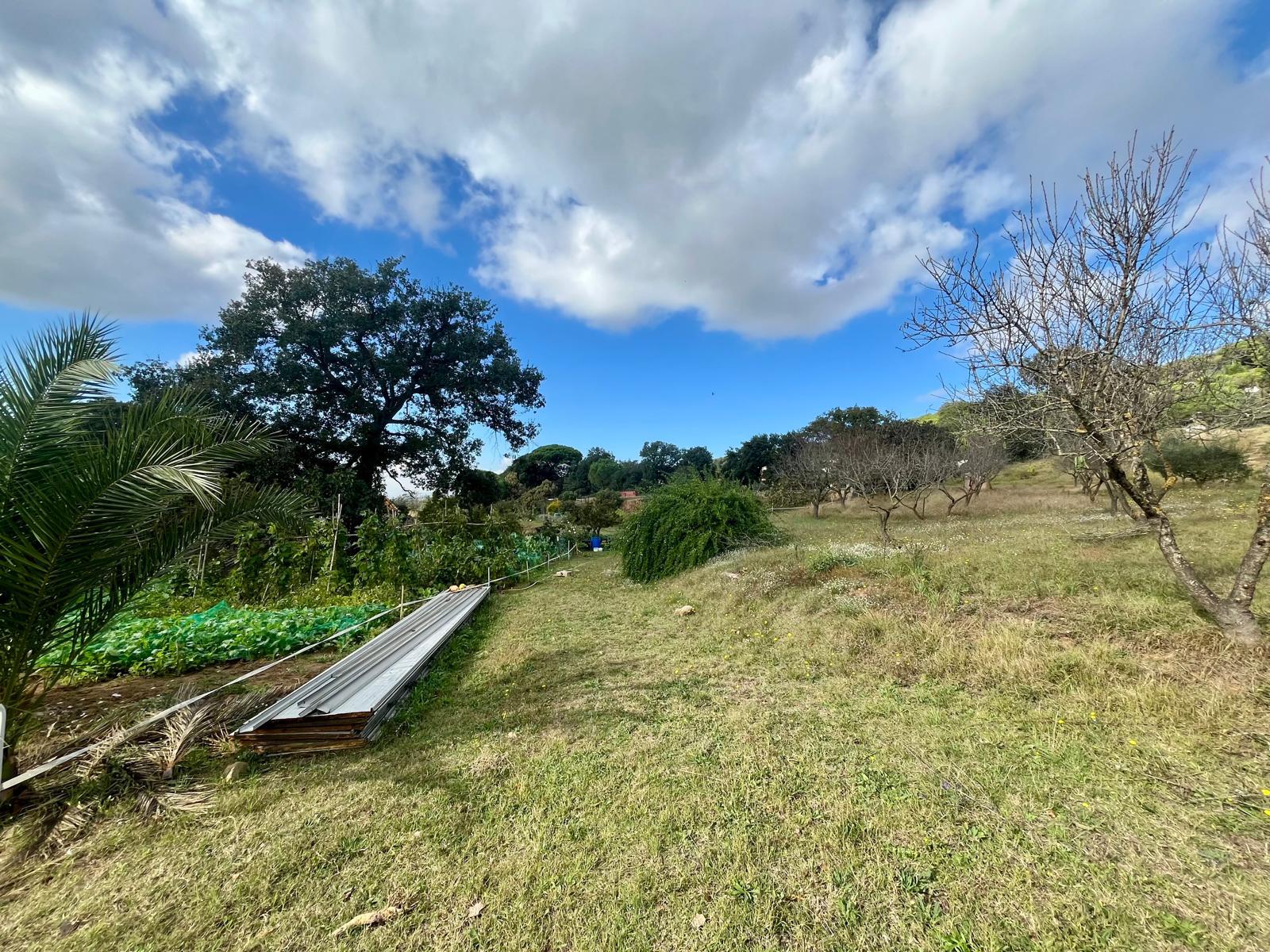 Imagen 38 Casa en venta en Vilanova Del Vallès / Casa a 5 minutos del centro de vilanova del valles