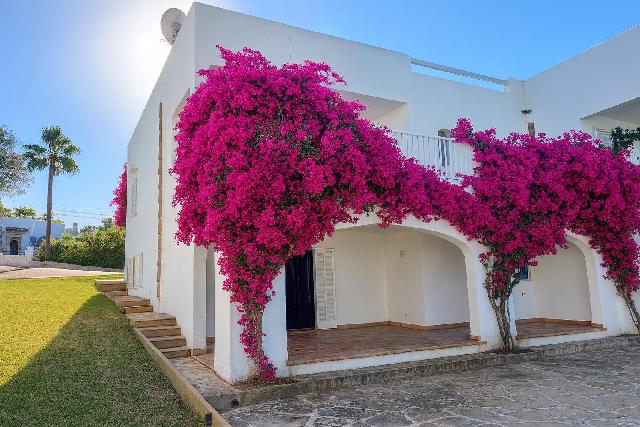 Imagen 3 Inmueble 299224 - Casa Aislada en venta en Santanyí / Cala d´Or en primera linea de mar 