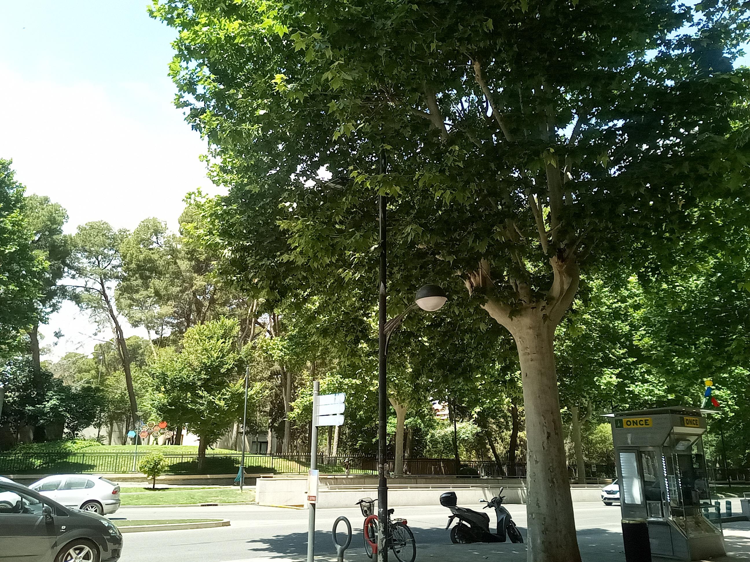 Imagen 2 Piso en venta en Albacete / Parque Abelardo Sánchez