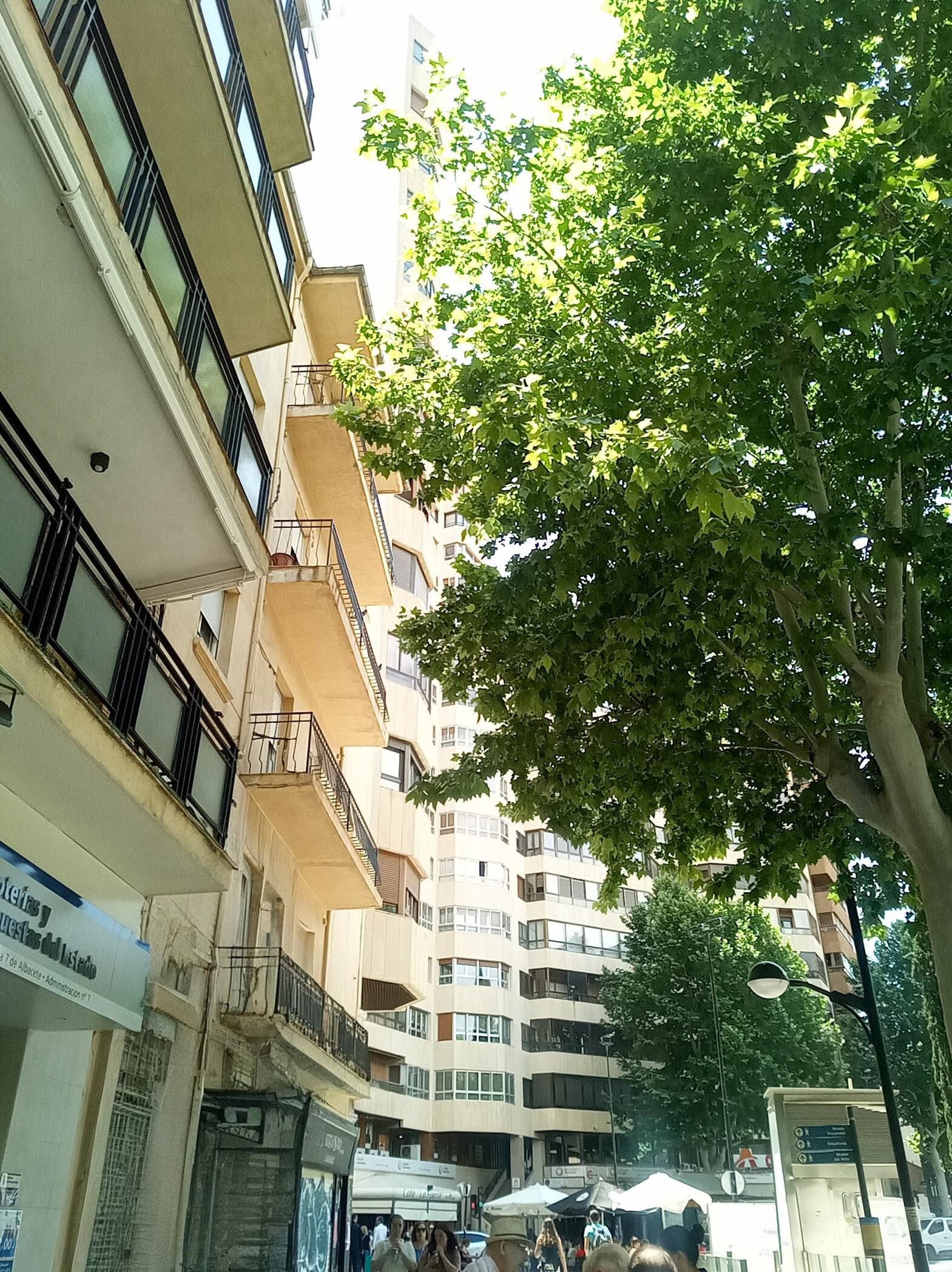 Imagen 3 Piso en venta en Albacete / Parque Abelardo Sánchez