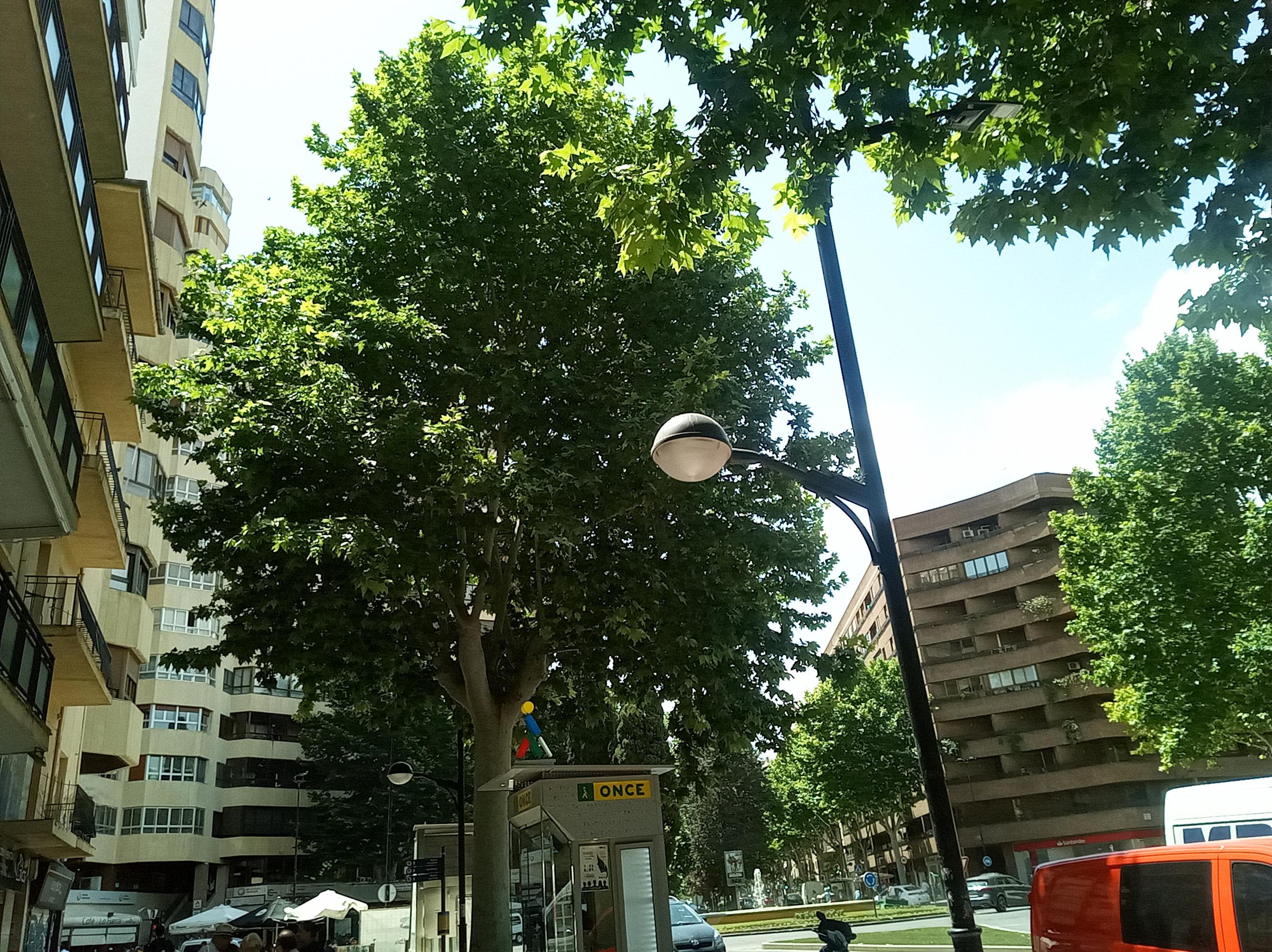 Imagen 5 Piso en venta en Albacete / Parque Abelardo Sánchez