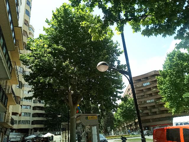 Imagen 5 Inmueble 294674 - Piso en venta en Albacete / Parque Abelardo Sánchez